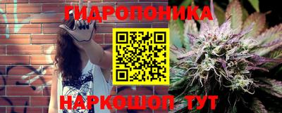 PSILOCYBIN Донской